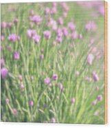 Chives Wood Print