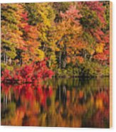 Chocorua Pond In Fall Foliage Wood Print