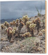 Cholla Family With Guests Wood Print