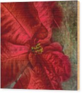 Christmas Flower Wood Print
