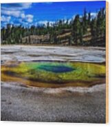 Chromatic Pool, Yellowstone Wood Print