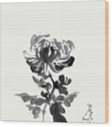 Chrysanthemum - Unpretentious Beauty Wood Print
