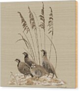 Chukar Partridges Wood Print