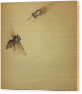 Cicada Pair Wood Print