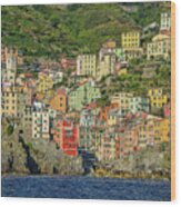 Cinque Terre, Italy Wood Print