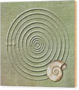 Circles And Spiral Wood Print