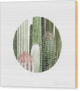 Circular Cacti Wood Print