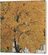 Classic Autumn Scene Wood Print