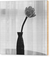 Classic White Lotus Flower In Vase Wood Print