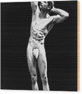 Classical Pose, Nude Male Model, 1893 Wood Print