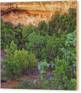 Cliff Palace At Mesa Verde National Park - Colorado Wood Print