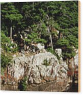 Cliffs On The St. Croix River Wood Print