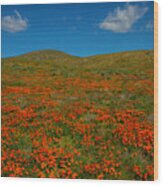 Clouds Above Poppy Field Wood Print
