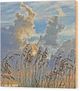 Clouds And Seaoats Wood Print