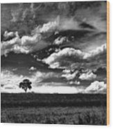 Clouds On The Prairie - Black And White Photography Wood Print