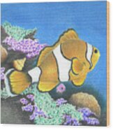 Clownfish Wood Print