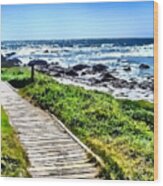 Coast Trail At Pebble Beach Wood Print