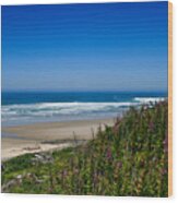 Coastal View - Oregon - Roads End State Recreational Area Wood Print