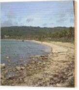 Coastline In Guam Ii Wood Print