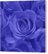 Roses - Flower - Cobalt Velvet Wood Print