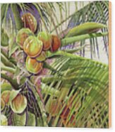 Coconut Palm Wood Print