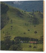 Cocora Valley Colombia Wood Print