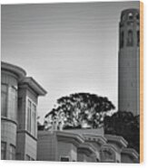 Coit Tower Wood Print