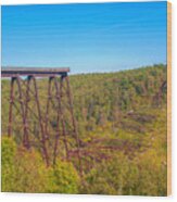Collapsed Kinzua Railroad Bridge Wood Print