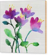 Color Flowers Wood Print