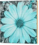 Color Trend Blue Blossom Wood Print