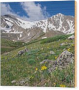 Colorado 14ers Grays Peak And Torreys Peak Wood Print