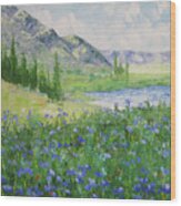 Colorado Alpine Lake Wood Print