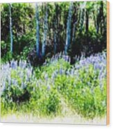Colorado Apens And Flowers Wood Print