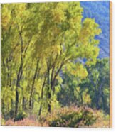 Colorado River Fall Colors Wood Print