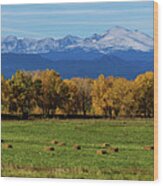Colorado Rocky Mountain Autumn Hay Harvest Panorama Wood Print