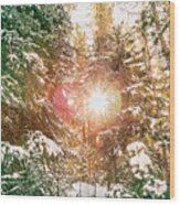Colorado Rocky Mountain Snow And Sunshine Wood Print