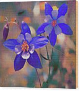 Columbine - Colorado State Flower Wood Print