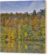 Colorful Autumn Trees Wood Print