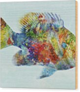 Colorful Bluegill Art Wood Print