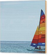 Colorful Catamaran 5 Delray Beach Florida Wood Print