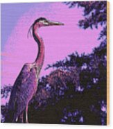 Colorful Heron Wood Print
