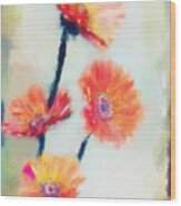 Colorful Orange Zinnias Wood Print