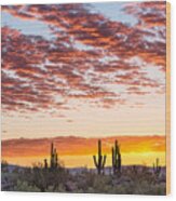 Colorful Sonoran Desert Sunrise Wood Print