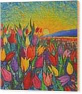 Colorful Tulips Field Sunrise - Abstract Impressionist Palette Knife Painting By Ana Maria Edulescu Wood Print