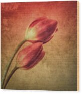 Colorful Tulips Textured Wood Print