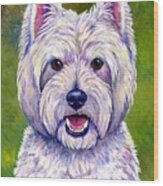 Colorful West Highland White Terrier Dog Wood Print