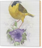 Common Yellowthroat Vignette Wood Print