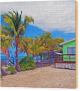 Conch Key Green Cottage With Sun Face Wood Print