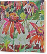Cone Flowers And  Three Bands Wood Print