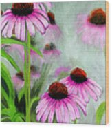 Coneflowers In The Mist Wood Print